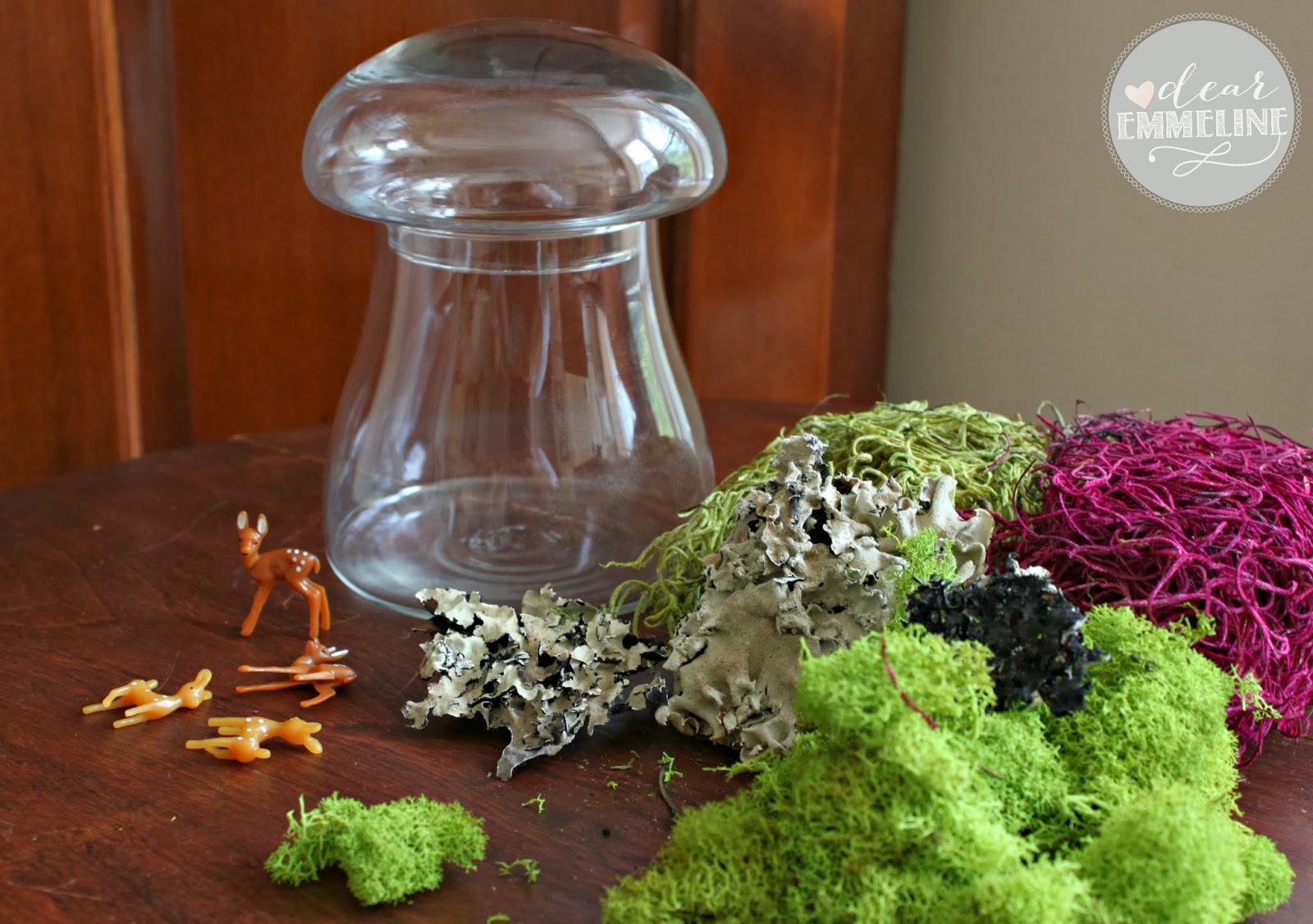 No Fuss, No Water, Moss Terrarium