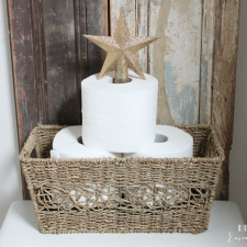 Preparing for Holiday Visitors: Holiday Potty Decor