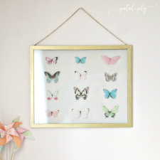 DIY Large Scale Specimen Frame