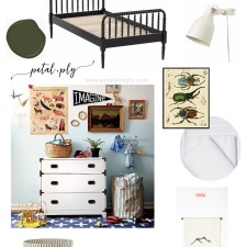 Adventuring Entomologist Boys Bedroom | One Room Challenge™