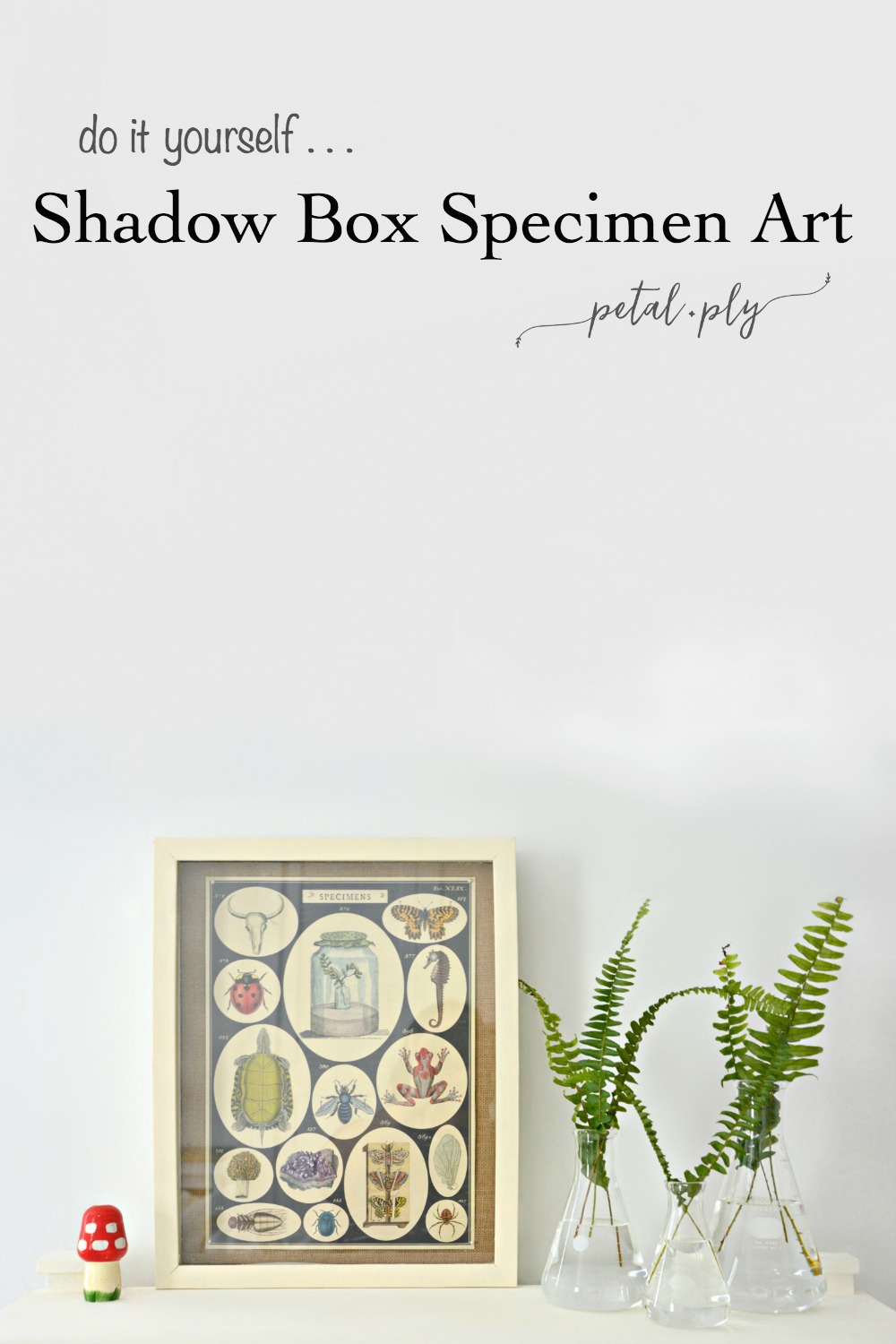 DIY-shadow-box-specimen-art-pin