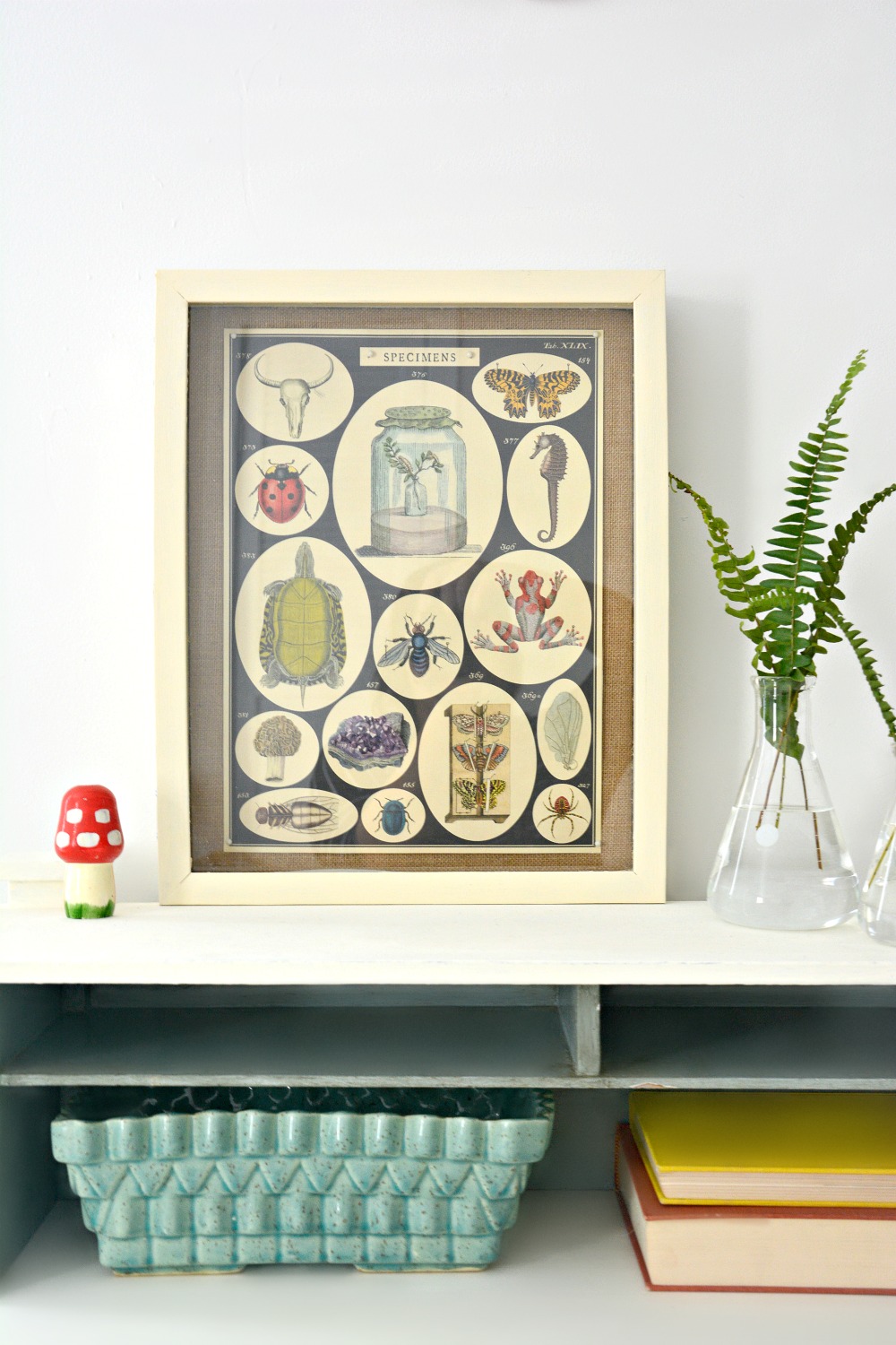 DIY-specimen-shadow-box-art