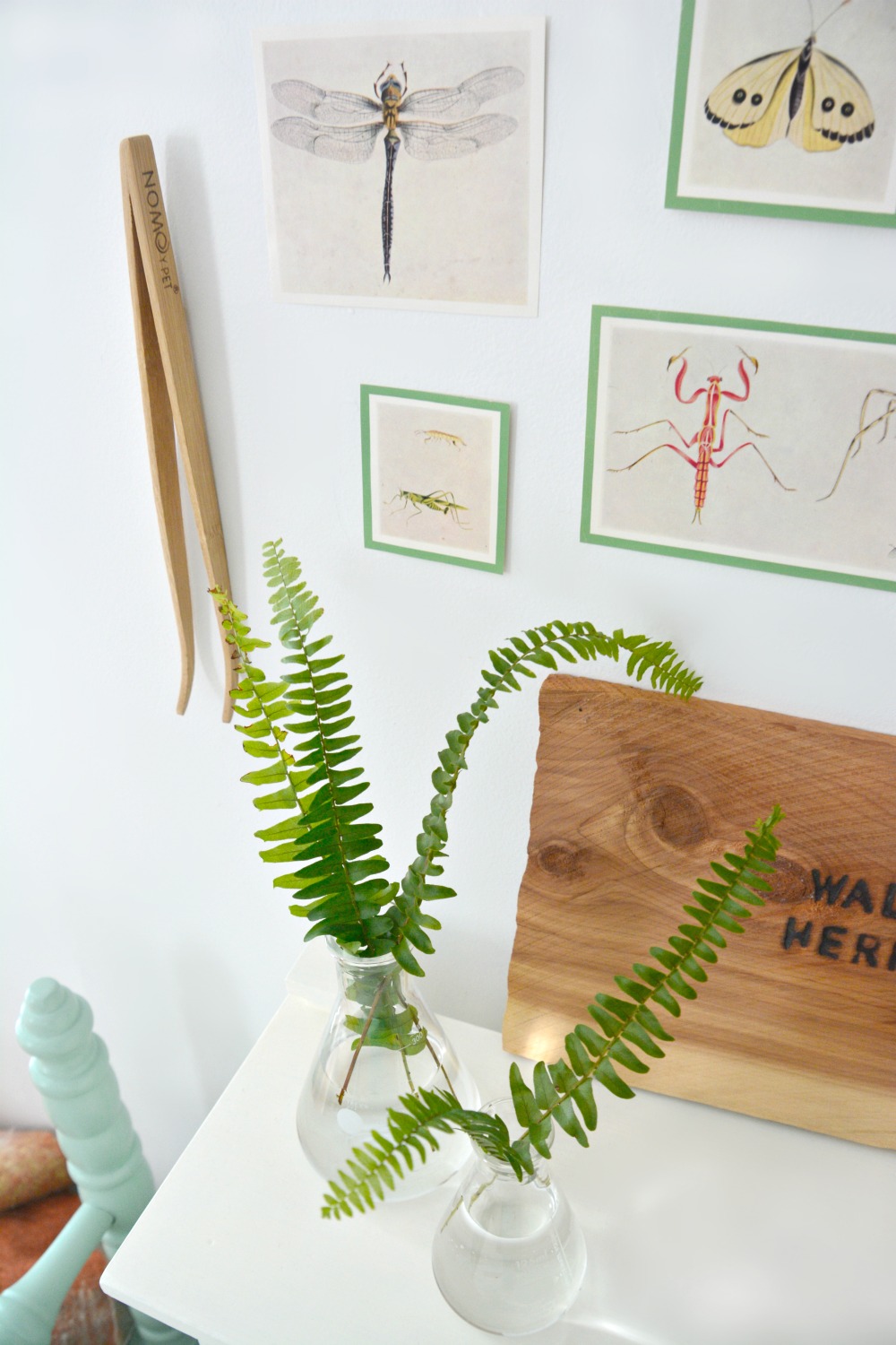 beaker-vases-with-fern