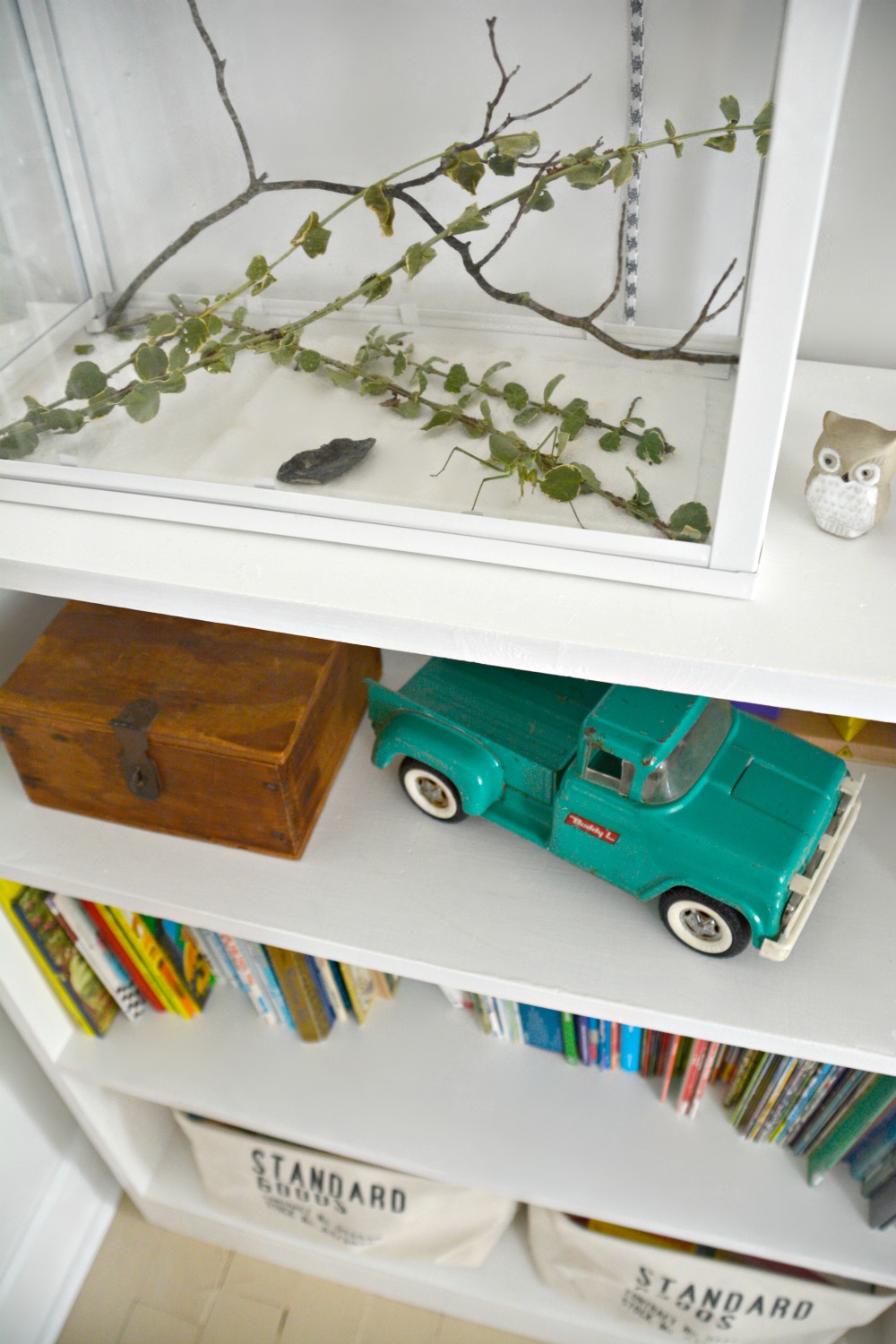 bookcase-buddy-L-truck