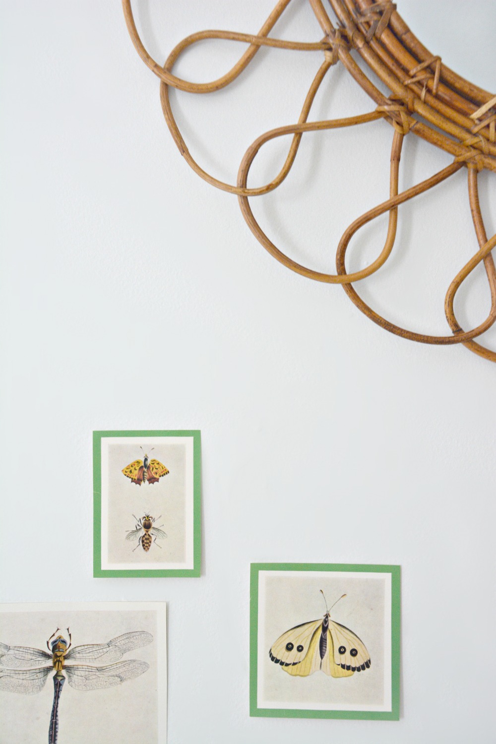 insect-book-plates-rattan-mirror